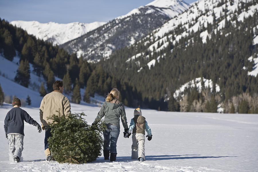 Family with two children (8-10) carrying christmas tree in mountains, rear view Photograph by Caroline Woodham