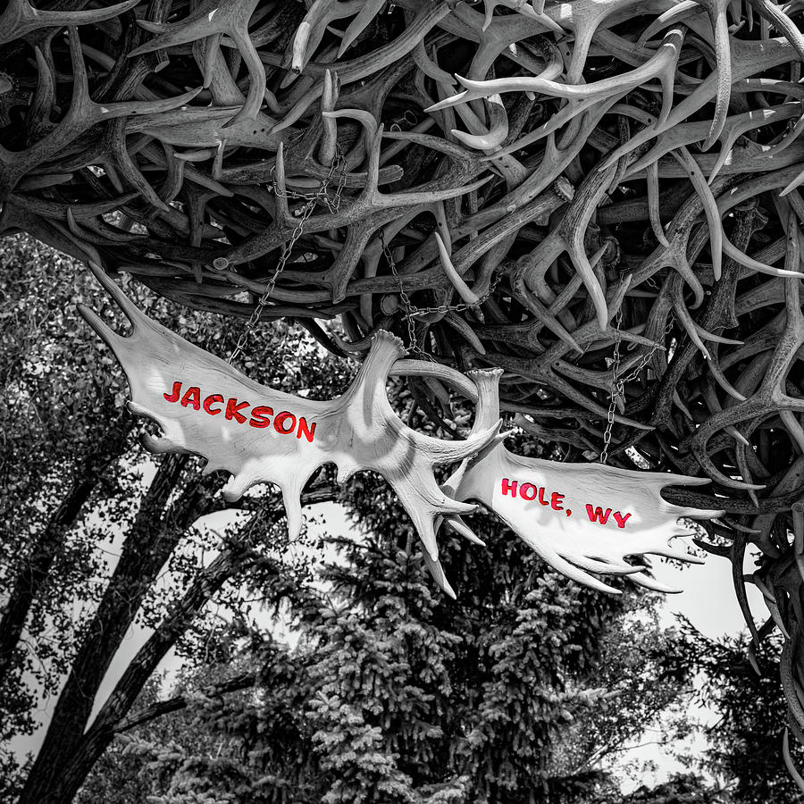 Famous Antler Sign On The Jackson Hole Town Square - Selective Color 1x1 Photograph by Gregory Ballos