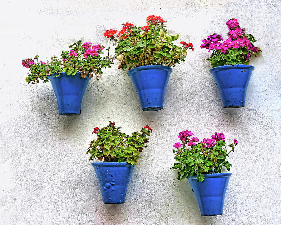 Famous Cordoba Blue Flowerpots Photograph by Allen Beatty
