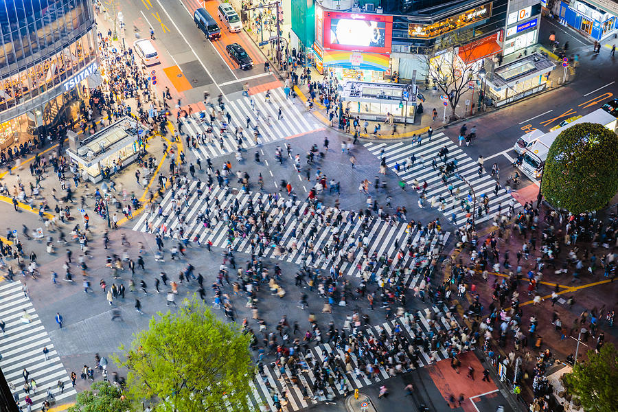 Famous Shibuya pedestrian crossing, Tokyo, Japan Photograph by Matteo Colombo