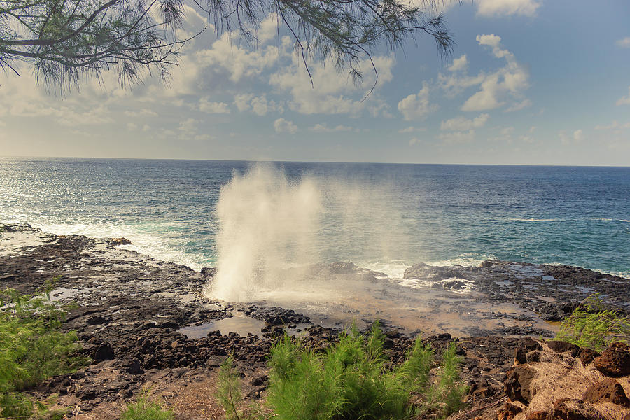 Famous Spouting Horn in Hawaii Photograph by Auden Johnson