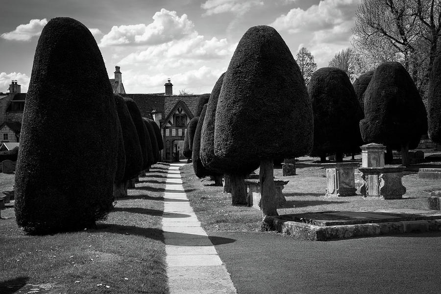 Famous yew trees in the churchyard at Painswick Photograph by Seeables Visual Arts