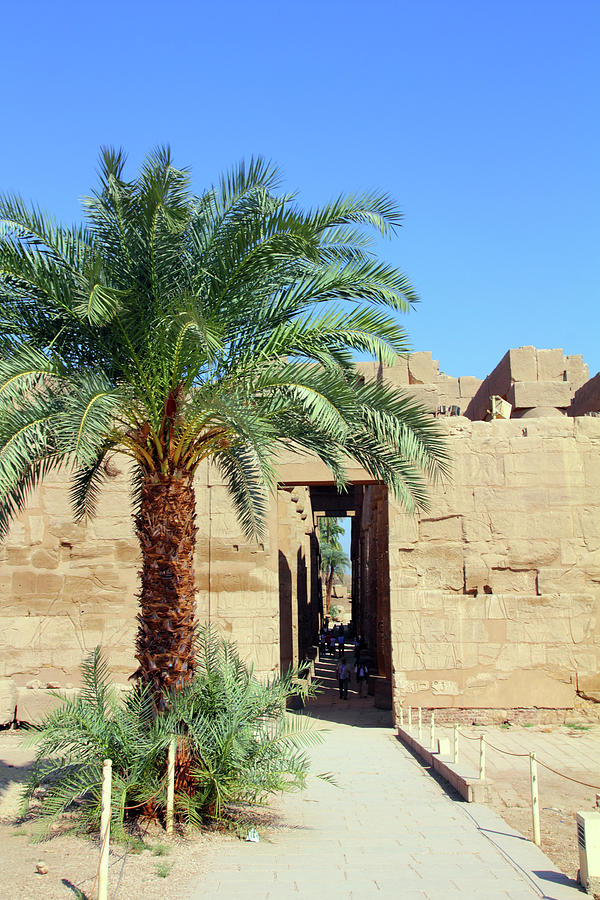 famouse karnak temple in Luxor Photograph by Mikhail Kokhanchikov