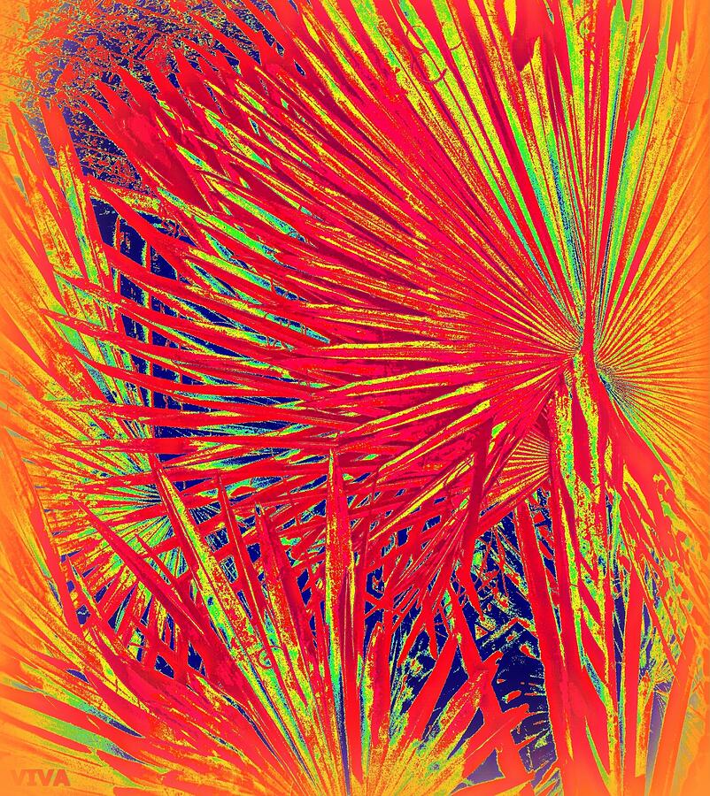 Abstract Photograph - Fan Palms - Brilliant by VIVA Anderson