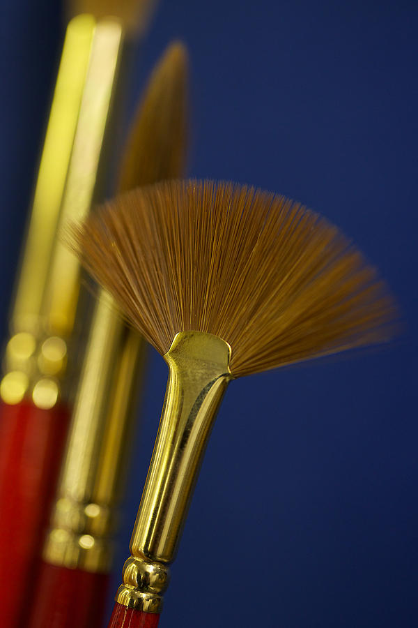Fan Shaped Paint Brush Photograph by by Simon Gakhar