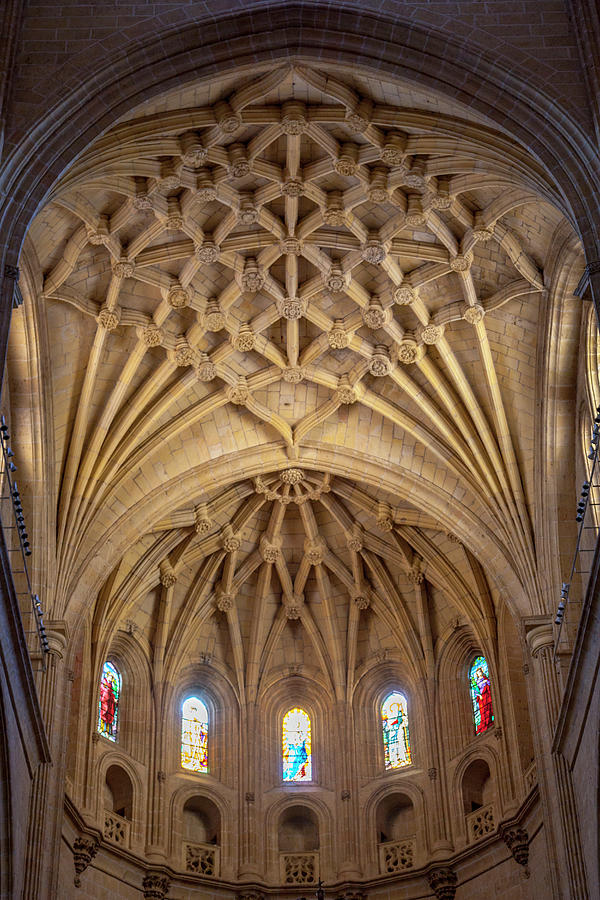 Fan Vaulting of the Segovia Cathedral Photograph by W Chris Fooshee