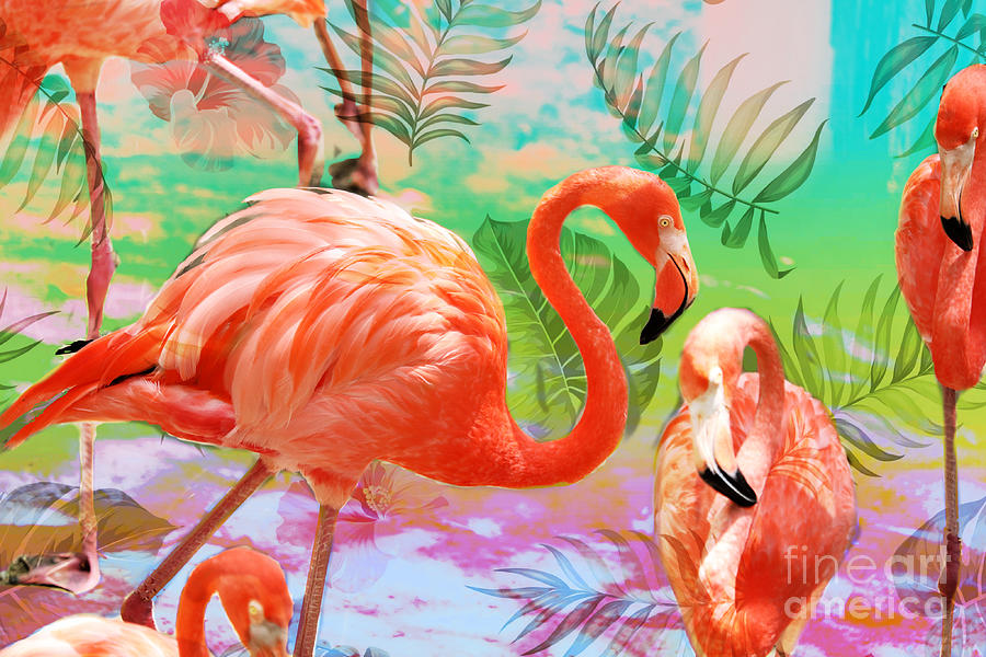 Fanciful Flamingos Photograph
