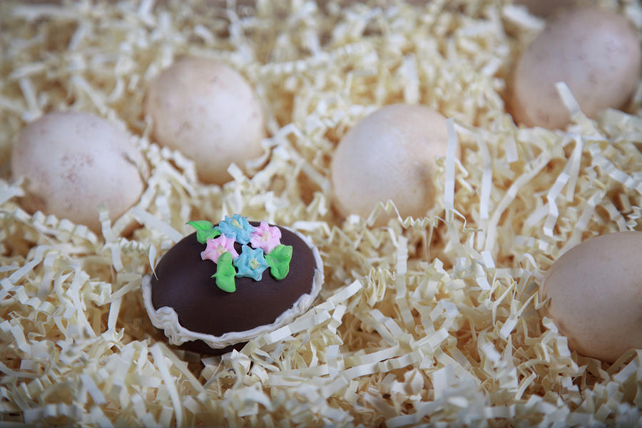 Fancy Chocolate Decorated Egg with Plain Eggs Photograph by Karen Lee Ensley