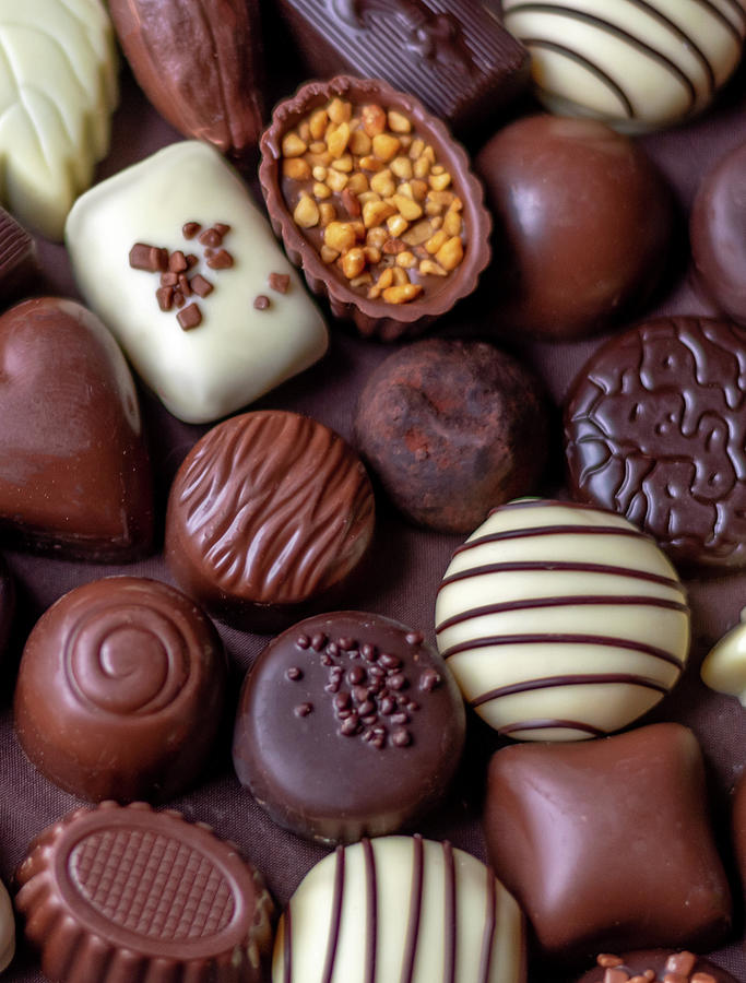 Fancy Chocolates Photograph by Susan Sheldon - Fine Art America