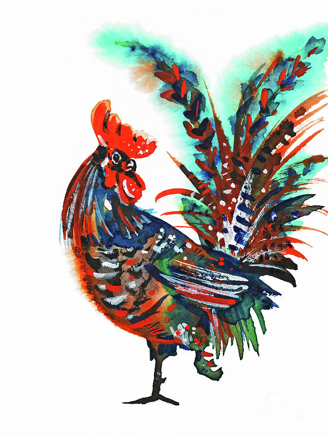 Fancy Rooster Painting by Zaira Dzhaubaeva