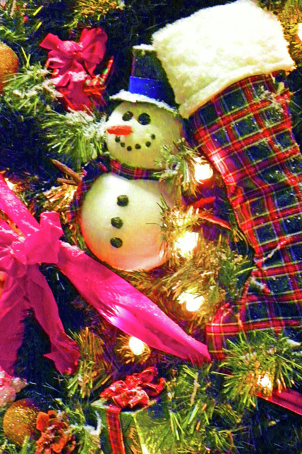 Fancy Snowman Photograph by Sandra Ford