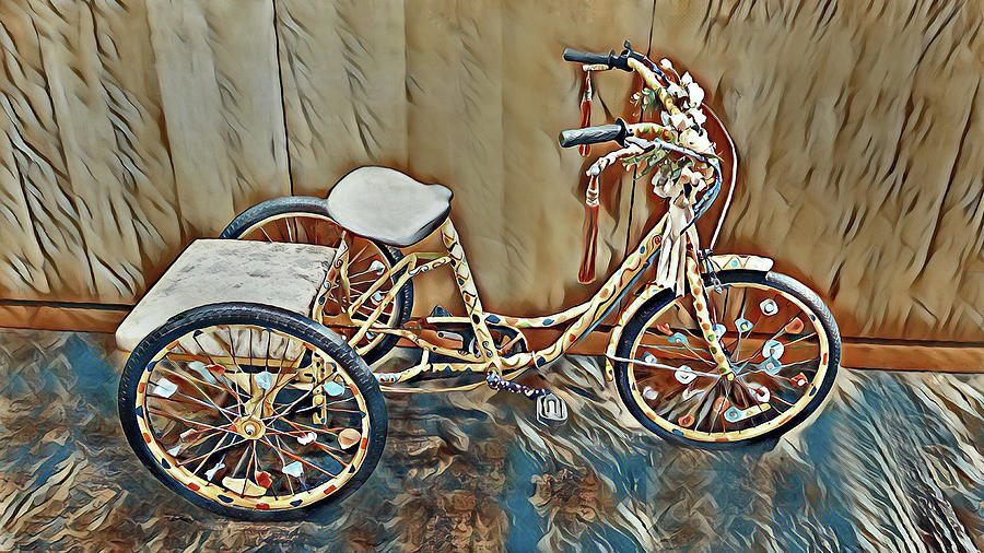 Fancy three-wheeled bike Photograph by Bob McDonnell