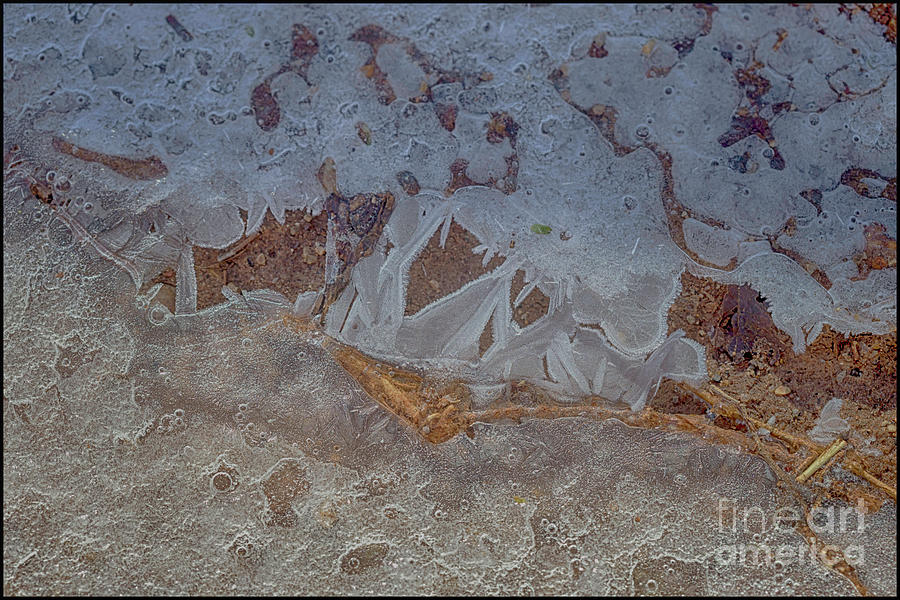 Abstract Photograph - Fanged Ice by Natural Abstract
