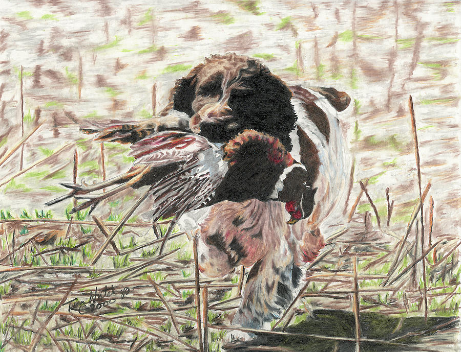 Fanny got her bird Drawing by Tim Hutchings - Fine Art America