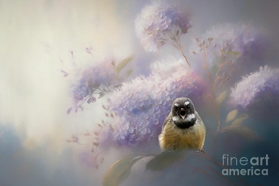 Fantail Singing Photograph by Eva Lechner