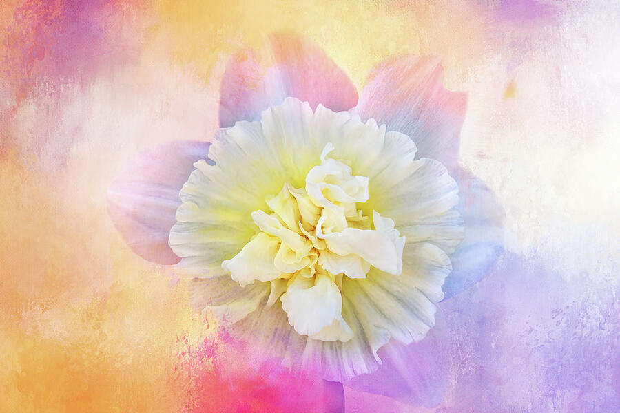 Fantasy Daffodil Dream Digital Art by Terry Davis