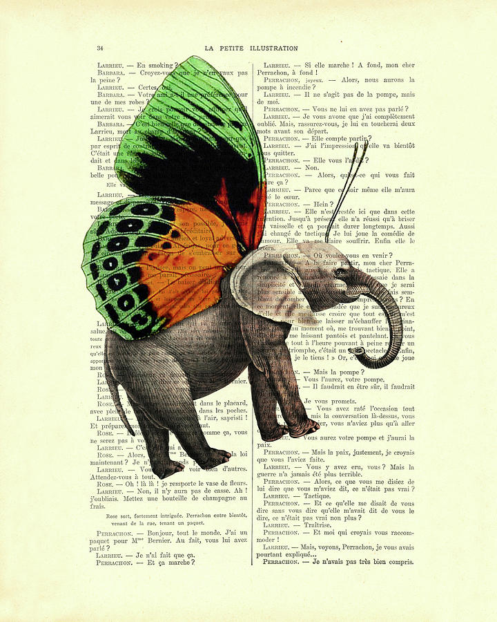 Fantasy Elephant Butterfly Digital Art by Madame Memento