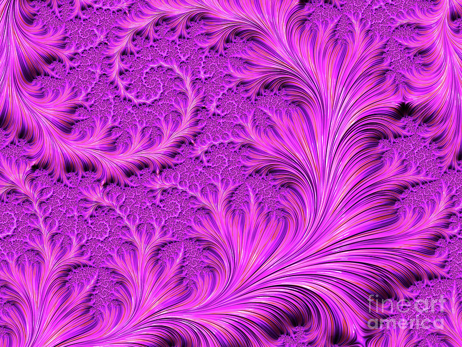 Fantasy Fern Digital Art by Elisabeth Lucas - Fine Art America