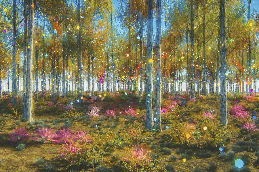 Fantasy forest Photograph by Gremlin