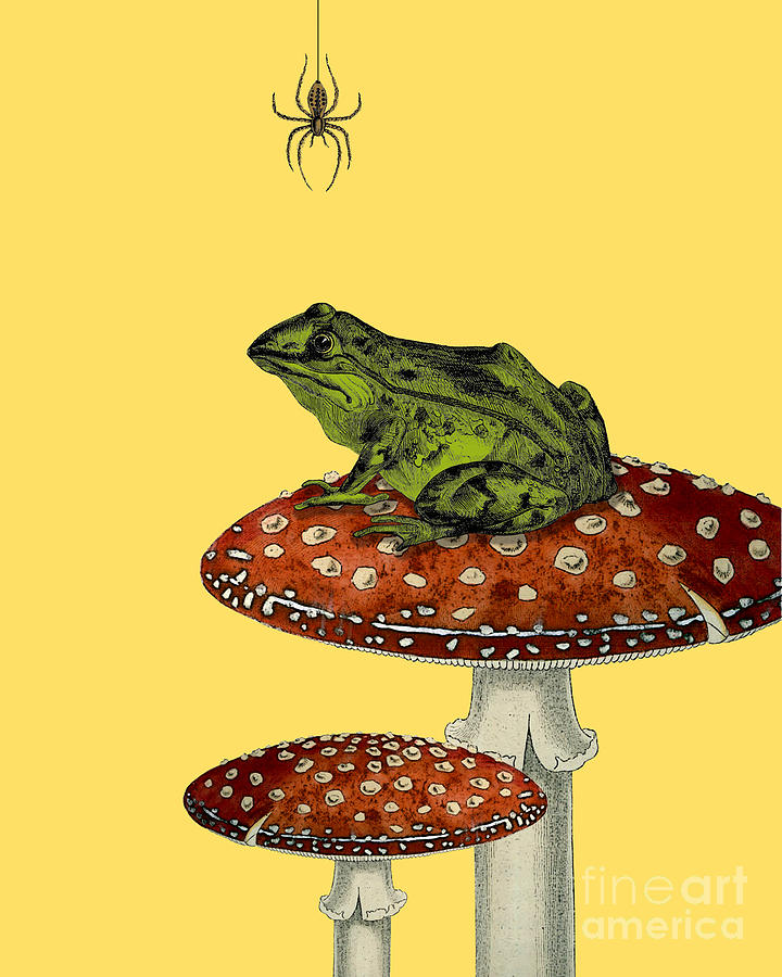 Spider Digital Art - Fantasy frog with spider by Madame Memento