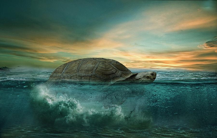 Fantasy image of a turtle swimming in the sea Digital Art by Ahmed ...