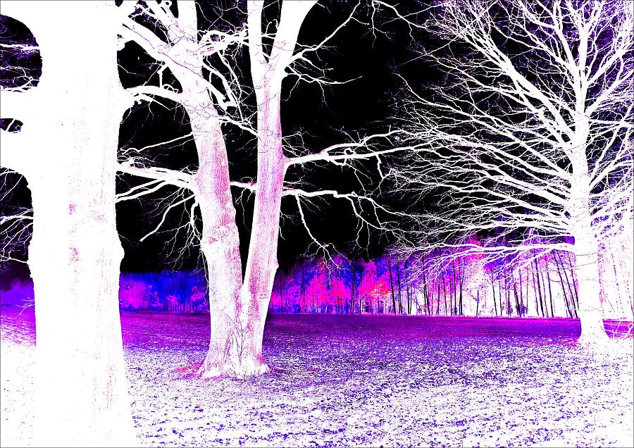 Tree Photograph - Fantasy Landscape in Purple and Blue by Slawek Aniol