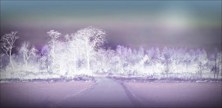 Tree Photograph - Fantasy Landscape by Slawek Aniol