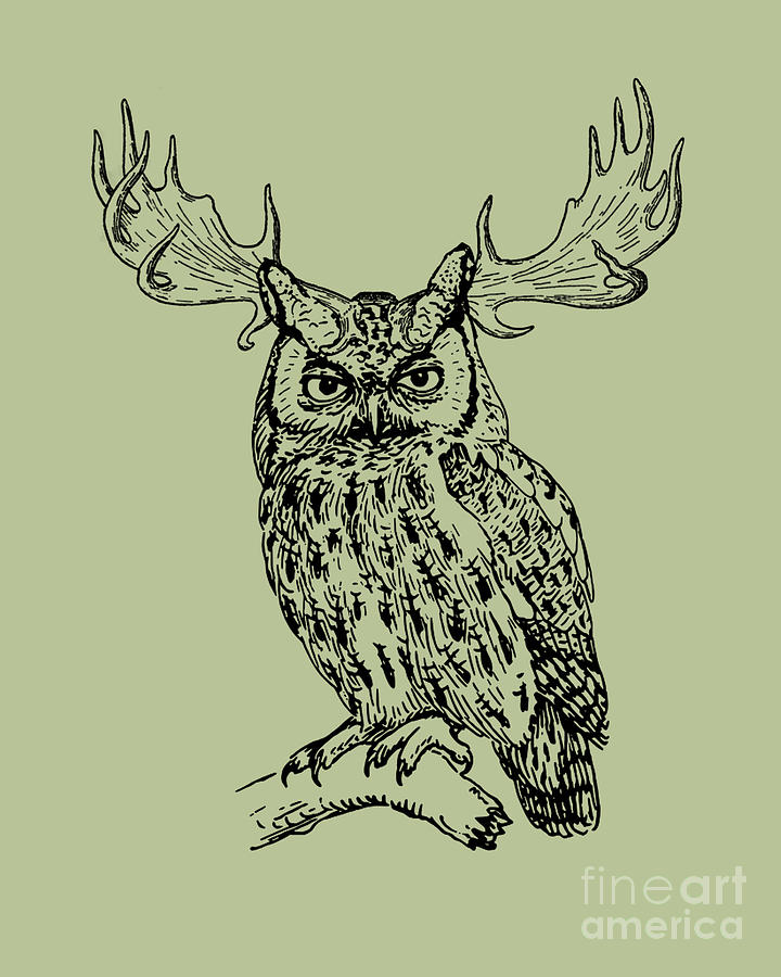 Owl Digital Art - Fantasy Owl Line Drawing by Madame Memento