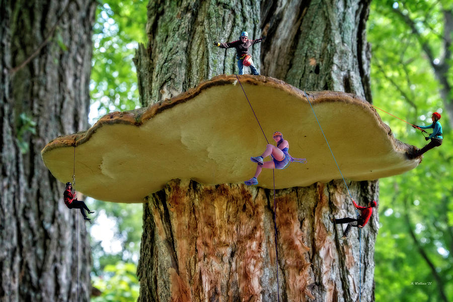 Fantasy Tree Climbers Digital Art by Brian Wallace