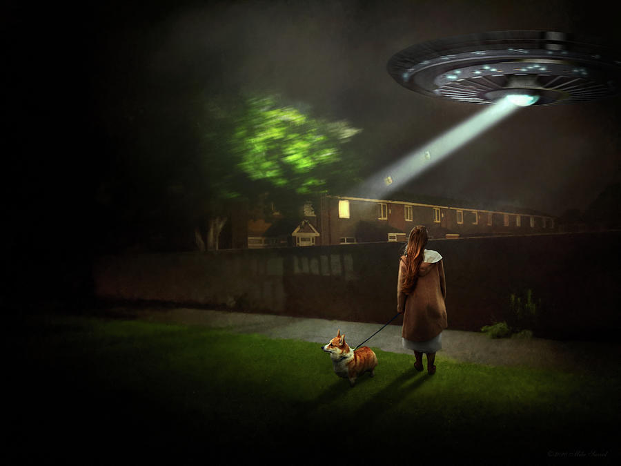 Fantasy - UFO - They came for the pickles Photograph by Mike Savad