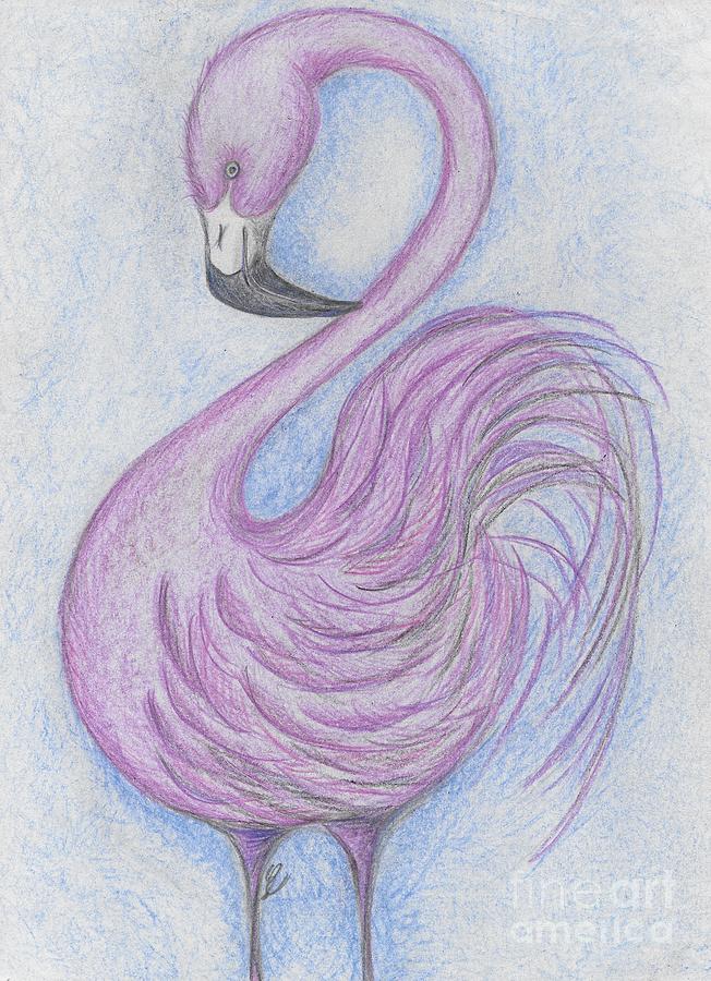 Fantasy Violet Flamingo Drawing by Stefania Caracciolo