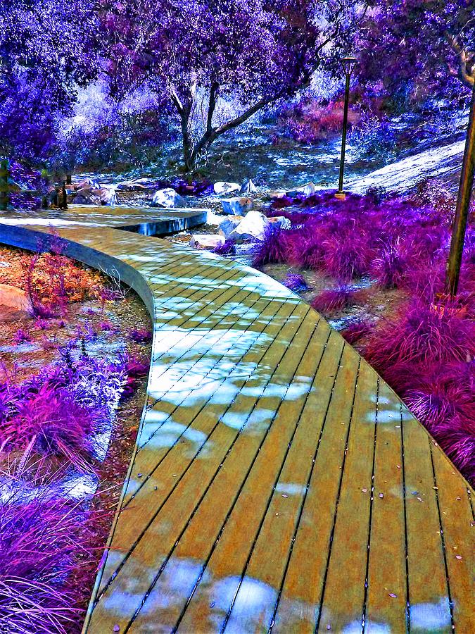 Fantasy Walkway Photograph by Andrew Lawrence