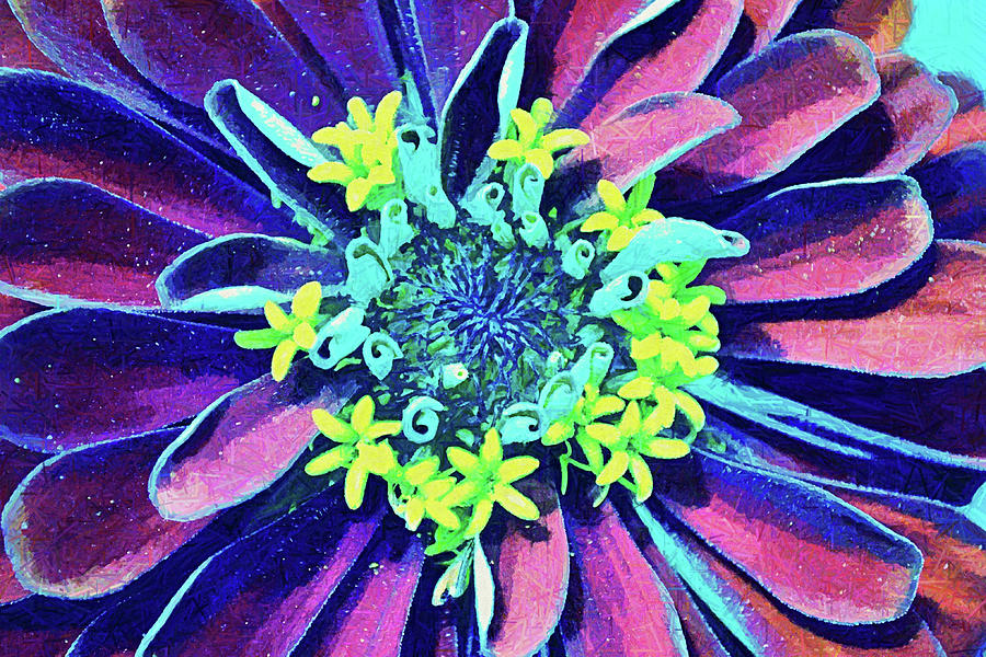 Far Out and Colorful Zinnia Flower Digital Art by Gaby Ethington