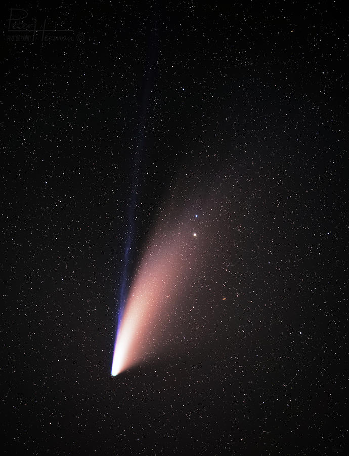 Farewell to Neowise -   comet Neowise on July 19 2020 Photograph by Peter Herman