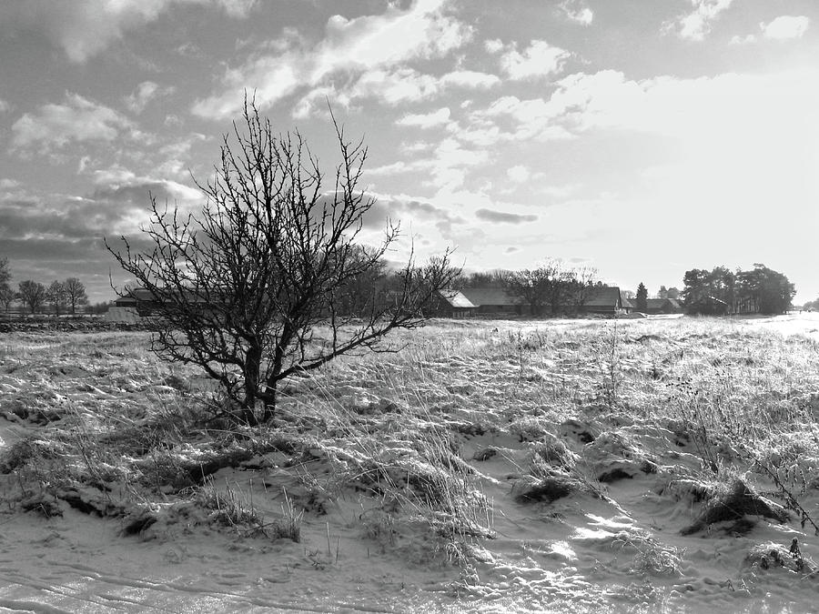 Winter Photograph - Farm at far by Elaine Berger