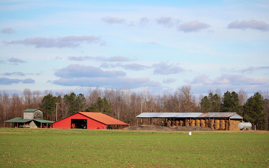 Farm Buildings Photograph by Cynthia Guinn