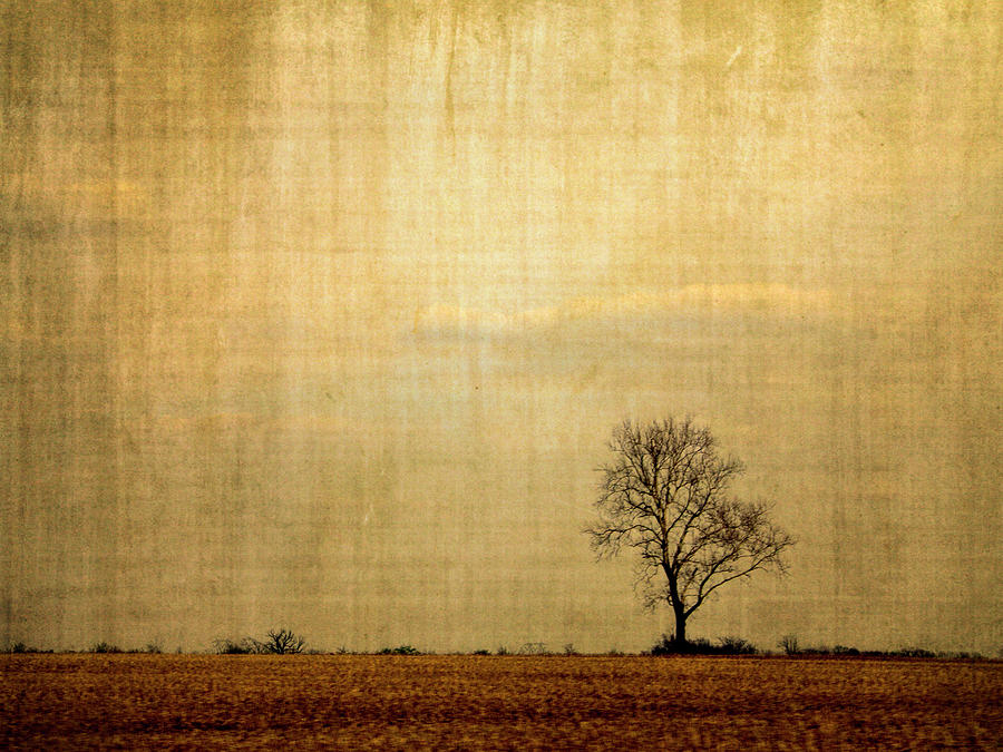 Farm Country Photograph By Joy Rector Fine Art America