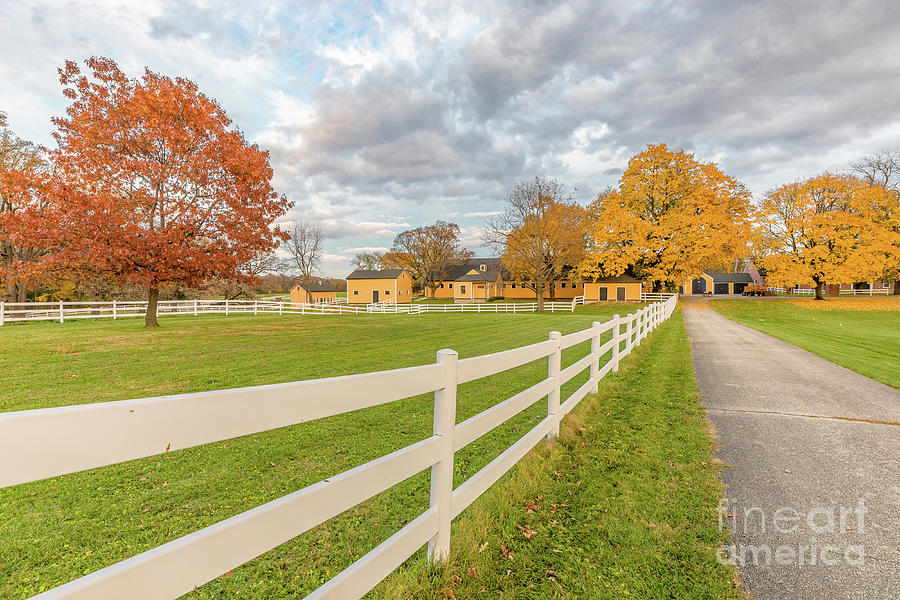 Farm Entrance In Fall Photograph