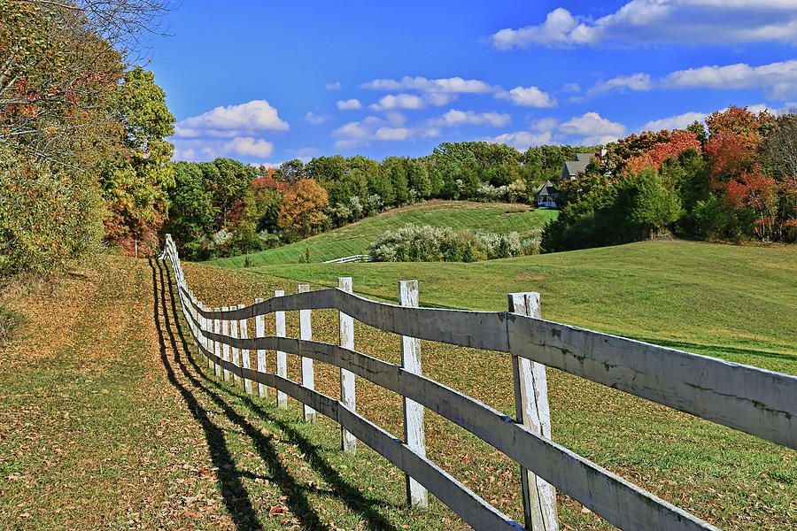 Farm Fence Photograph by Allen Beatty