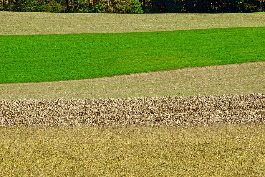 Farm Field Textures and Colors Photograph by Blair Seitz - Pixels