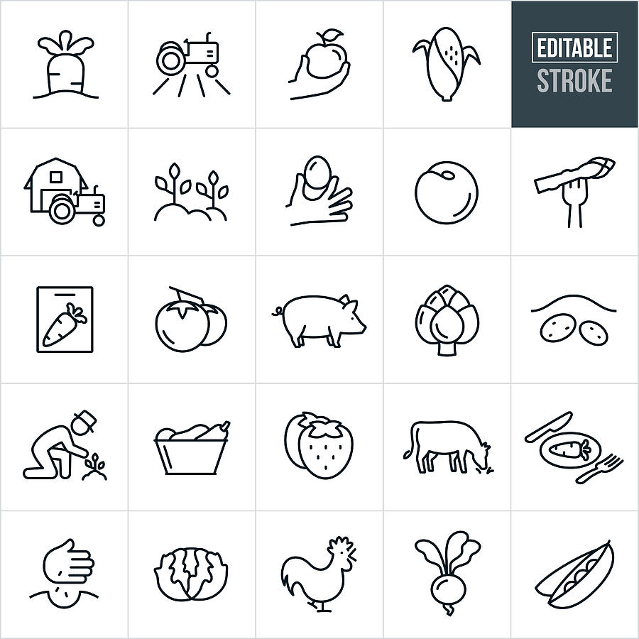 Farm Food and Livestock Thin Line Icons - Editable Stroke Drawing by Appleuzr