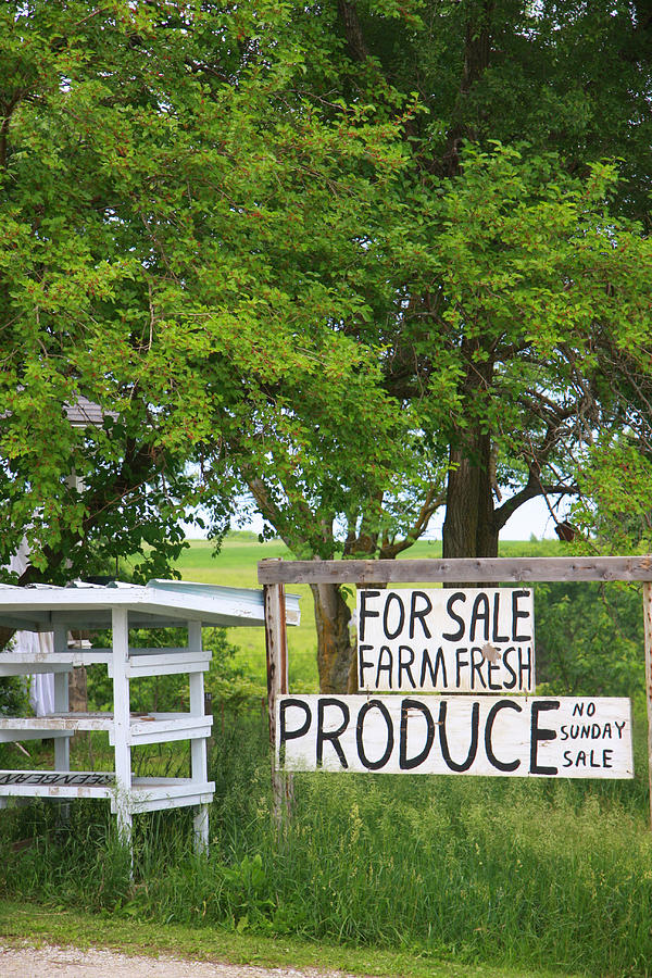 Farm Fresh Produce for Sale in Iowa Photograph by DarcyMaulsby