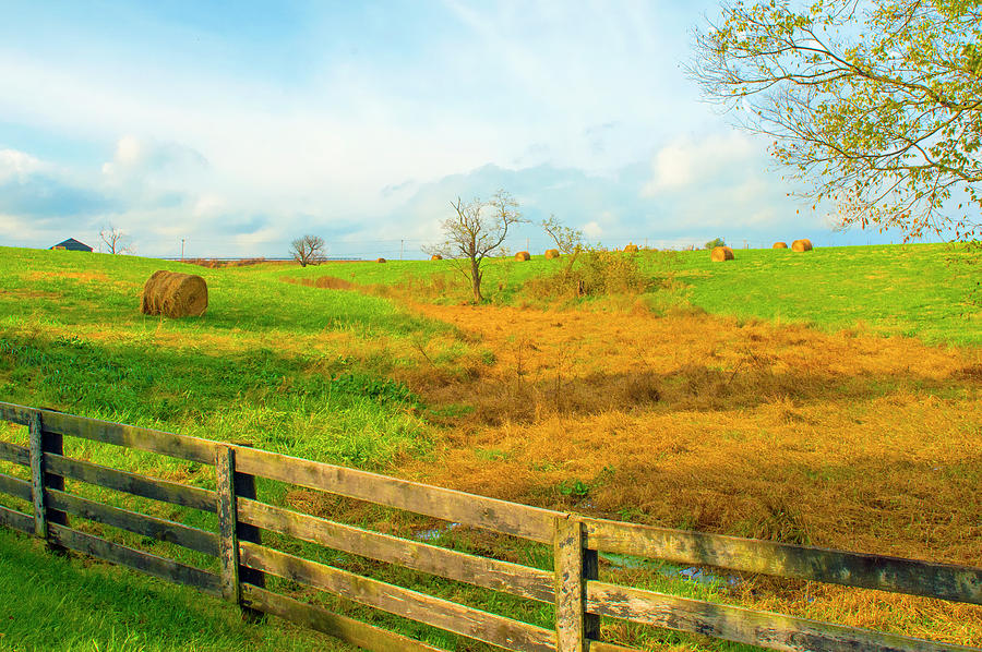 Farm hay field with fence -RIchmond Kentucky Photograph by William ...