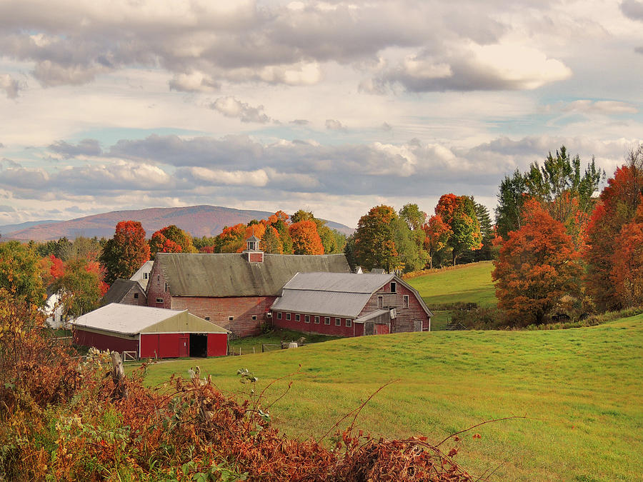 Farm In Autumn in Newbury Vermont Photograph by Nancy Griswold
