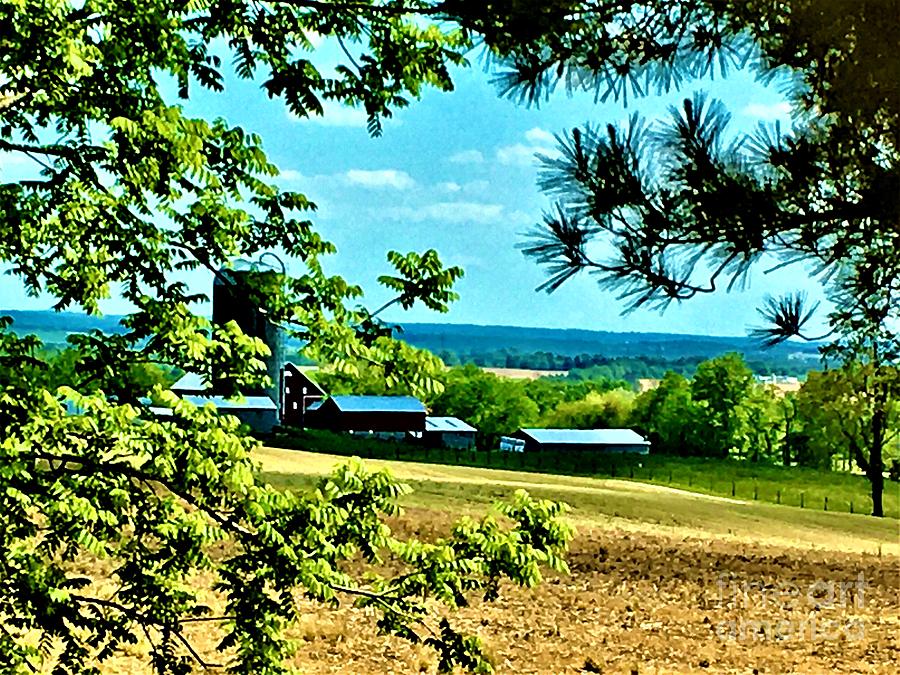 Farm In Frederick Maryland Photograph