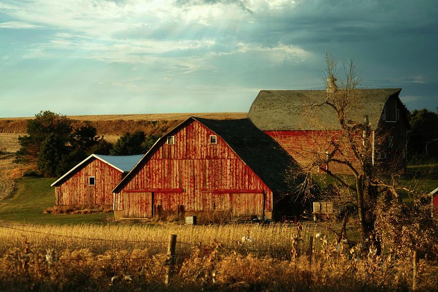 Farm life Photograph by Roger Look | Fine Art America