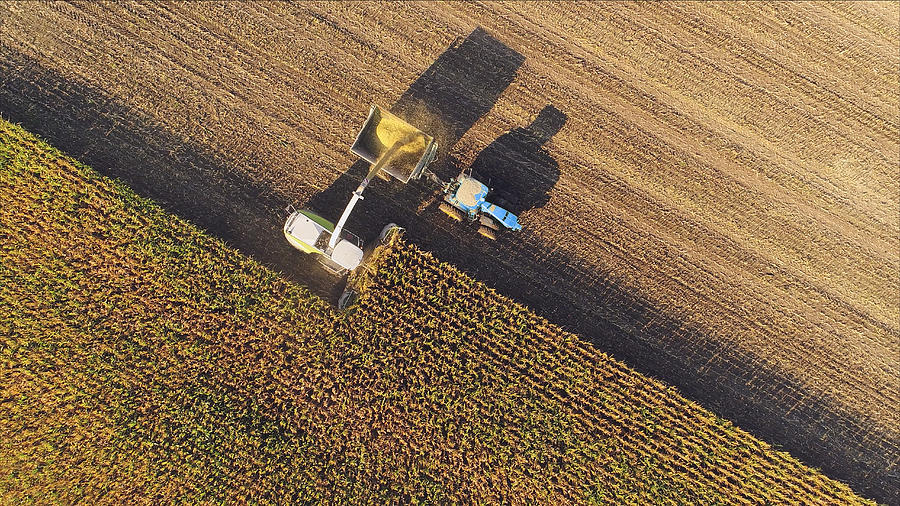 Farm machines harvesting corn, aerial view. Photograph by JamesBrey