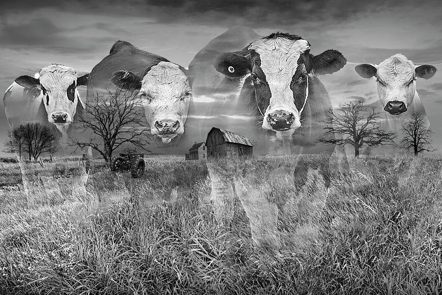 Farm Memories in Black and White Photograph by Randall Nyhof