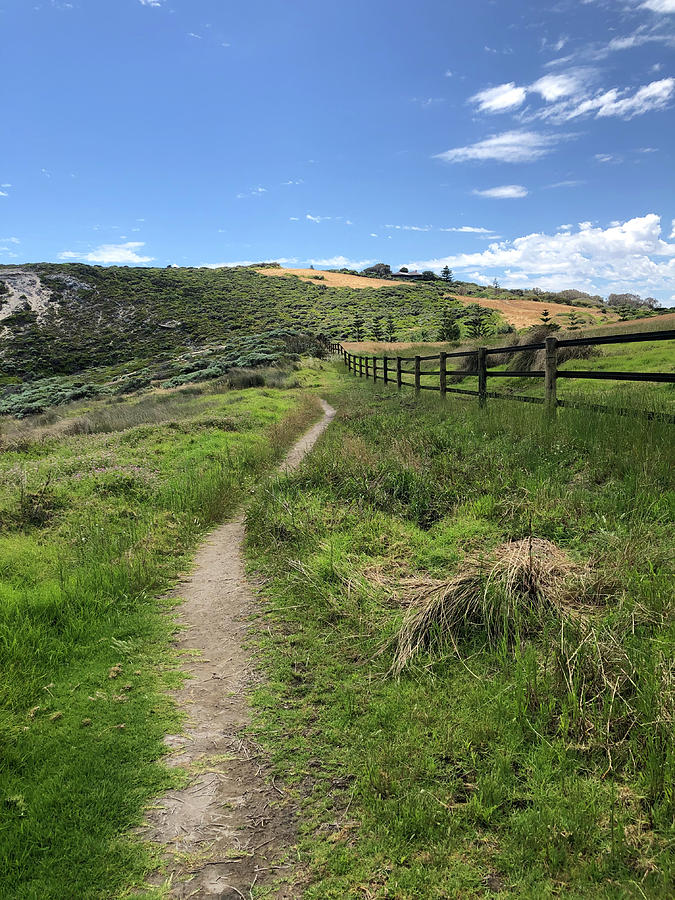 Farm Path Photograph by Avi Har Paz - Fine Art America