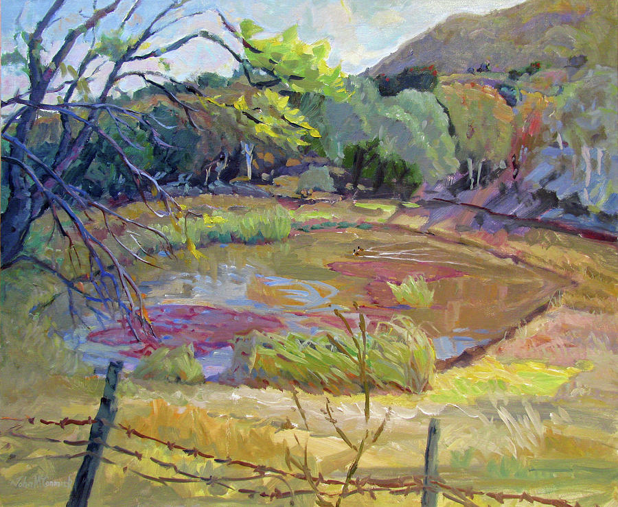 Farm Pond Painting by John McCormick
